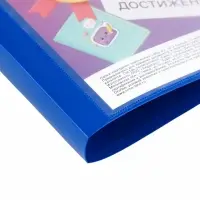 Папка-портфолио А4, Calligrata, пластиковая, на 2 кольцах, 10 файлов. МИКС