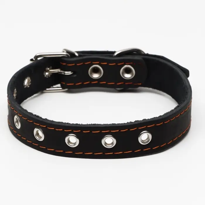 Ошейник однослойный, безразмерный, 56&times;2.5 см, ОШ 17-44 см, кожа, чёрный