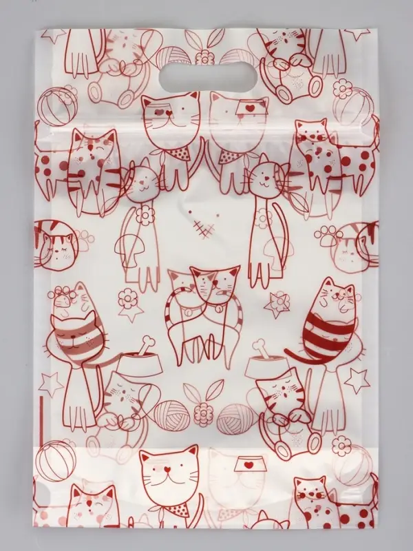 Пакет подарочный, с zip - lock застежкой, 15&times;23 см