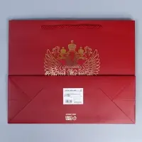 Пакет подарочный, упаковка, &laquo;Россия с тобой&raquo;, 32&times;26&times;12 см