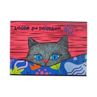 Альбом д/рис А4 40л на скобе Hatber "Котофей", обл мел карт, офсет, 5В МИКС