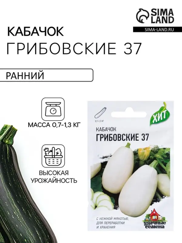 Семена Кабачок &laquo;Грибовские 37&raquo;, 1.5 г, серия ХИТ х3