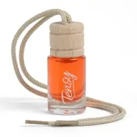 Ароматизатор в машину Tensy, в бутылочке, 6 мл, бабл гам, ТВ-09