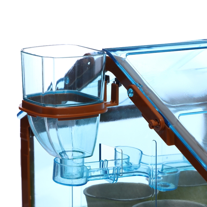 Набор для опытов «Моя мини-ферма» Набор для опытов «Моя мини-ферма»