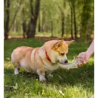 Поилка прогулочная, 300 мл, фигурная, с мягким носиком