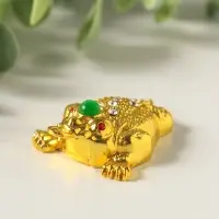 Набор нэцкэ фигурок 6 шт. &laquo;Денежная жаба с монетой&raquo;, металл под золото, подарочные, 4&times;5.4&times;2 см