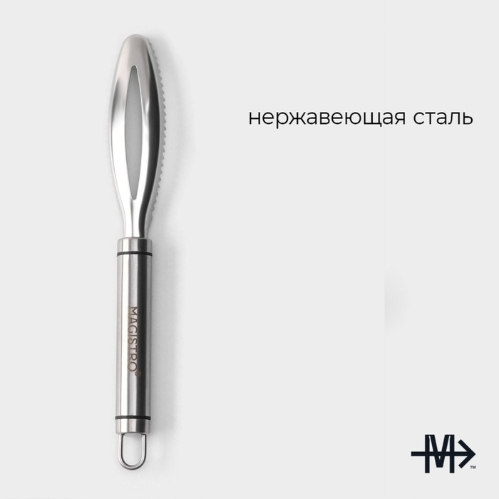 Рыбочистка Magistro Solid, нержавеющая сталь, цвет хромированный Рыбочистка Magistro Solid, нержавеющая сталь, цвет хромированный