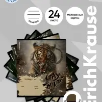 Тетрадь 24 листа в линейку ErichKrause Stay Wild, 60 г/м&sup2;, обложка мелованный картон, МИКС