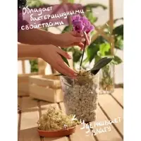 Мох сфагнум &laquo;Рецепты Дедушки Никиты&raquo; 5 л.