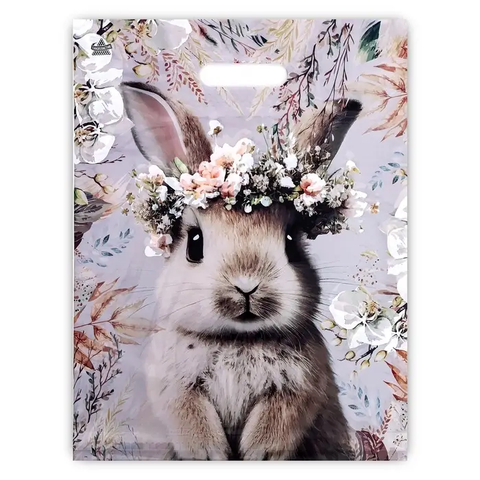 Пакет &laquo;Летний Зайка&raquo;, полиэтиленовый с вырубной ручкой, 30&times;40 см, 60 мкм