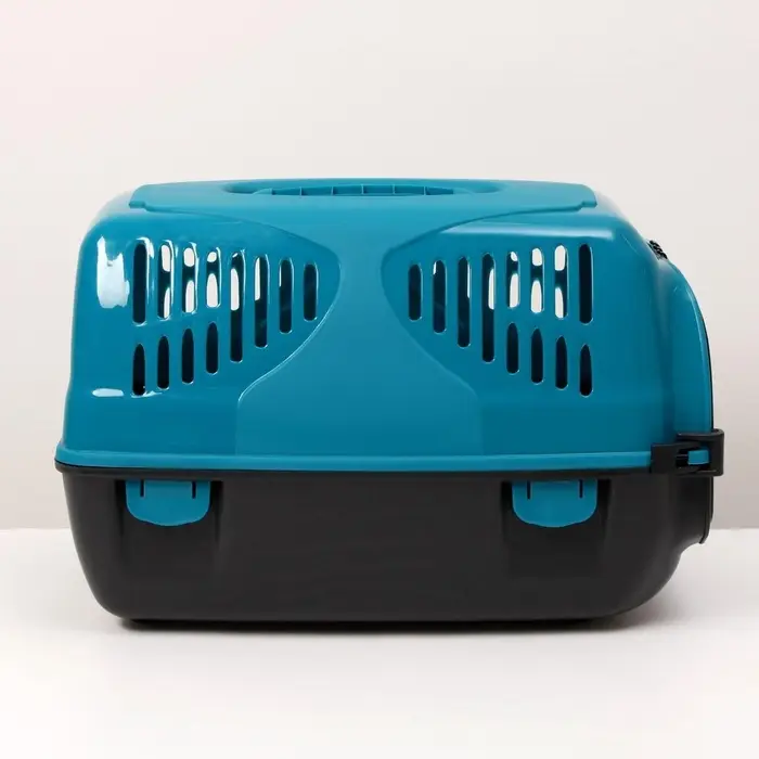 Переноска для животных &laquo;Сириус&raquo;, 33.5&times;31&times;50 см, пластик, бирюзовая