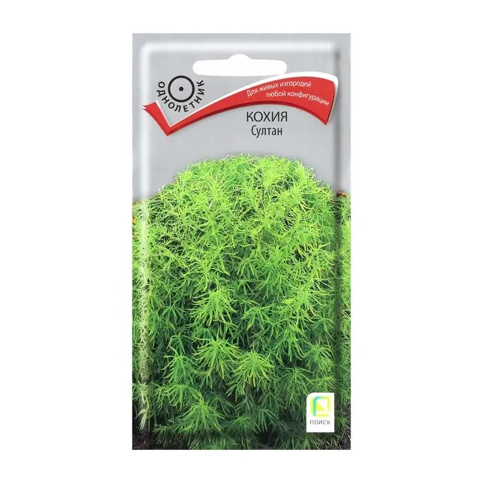 Семена цветов Кохия Семена цветов Кохия "Султан", О, 0,1гр