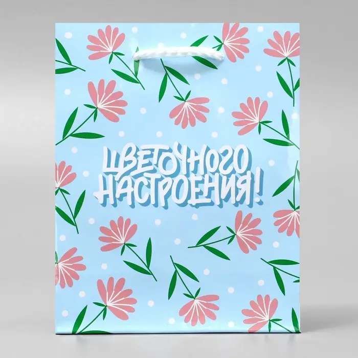 Пакет подарочный ламинированный, упаковка, «Цветочного настроения», S 12 х 15 х 5.5 см Пакет подарочный ламинированный, упаковка, «Цветочного настроения», S 12 х 15 х 5.5 см