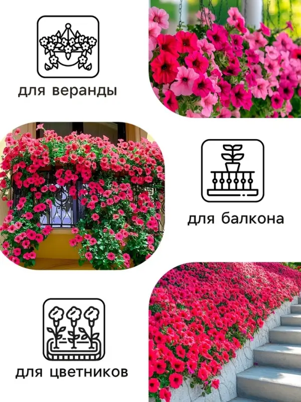 Семена цветов Петуния &laquo;Тайдал Вейв Пурпл&raquo;, 5 шт., &laquo;Агросидстрейд&raquo;