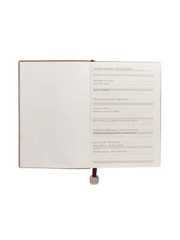 Ежедневник недатированный формат А5, 80л, линия, с ручкой, подар коробка, Коричневый