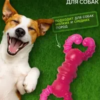 Жевательная игрушка для собак&laquo;Краб&raquo;, прозрачная, 12 см, TPR, розовая