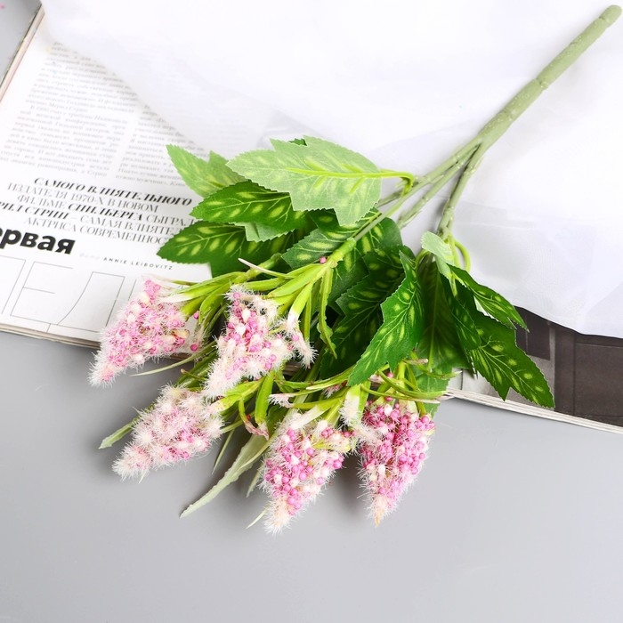 Букет  Букет "Пушица мимоза" 30 см, микс
