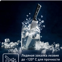 Набор ножей Ice Force K2323S74, 3 предмета