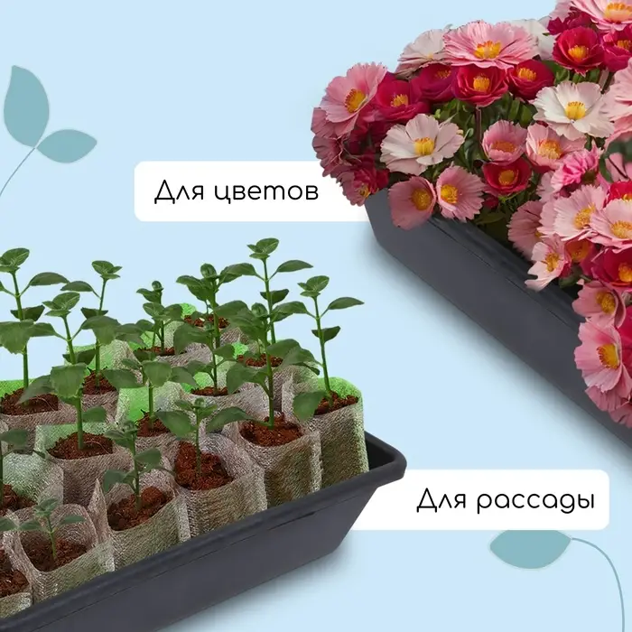 Ящик для рассады, 40&times;20&times;10 см, 4 л, пластик, МИКС
