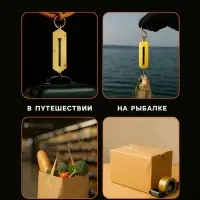 Весы - безмен LV-505, электронные, до 50 кг, точность до 10 г, подсветка, чёрные