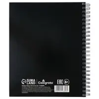 Компл тетр из 3шт 96л кл на гребне Гусь, обл мел карт, офсет (10296898) Компл тетр из 3шт 96л кл на гребне Гусь, обл мел карт, офсет (10296898)