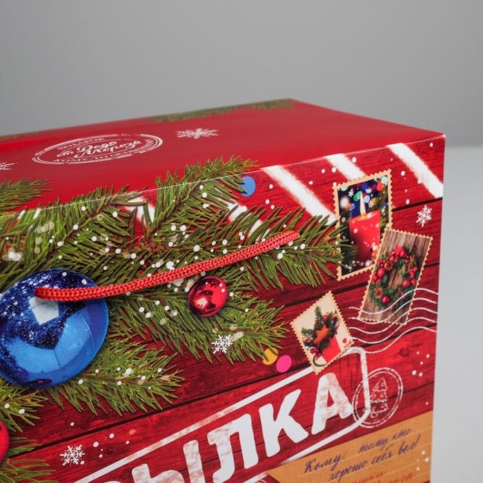 Пакет‒коробка &laquo;Новогодняя посылка&raquo;, 28 х 20 х 13 см