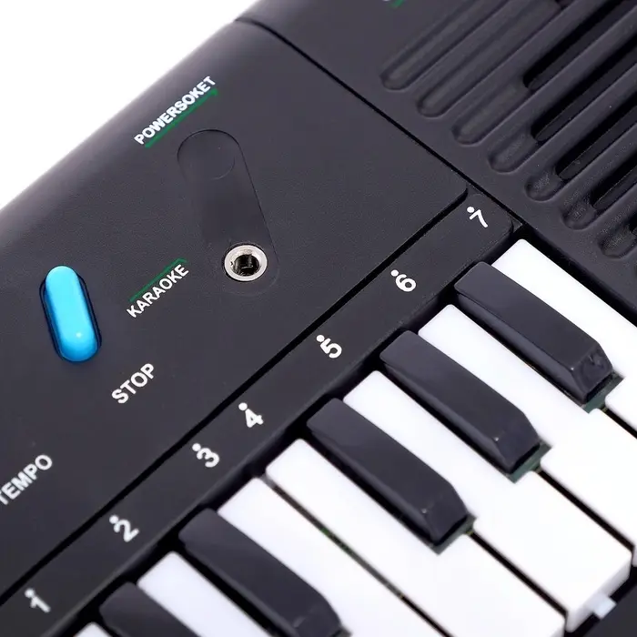 Детский музыкальный инструмент &laquo;Синтезатор: Музыкальная феерия&raquo;, с микрофоном, 31 клавиша