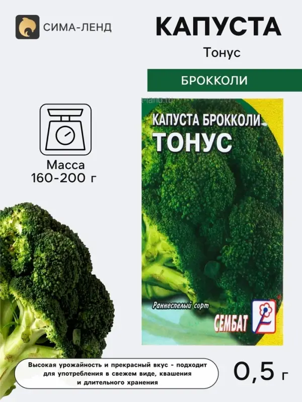 Семена Капуста брокколи &laquo;Тонус&raquo;, 0.5 г, раннеспелая, &laquo;Сембат&raquo;