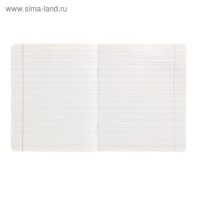 Тетрадь 12 листов узкая линейка «Великолепная пятёрка», бумажная обложка, МИКС Тетрадь 12 листов узкая линейка «Великолепная пятёрка», бумажная обложка, МИКС