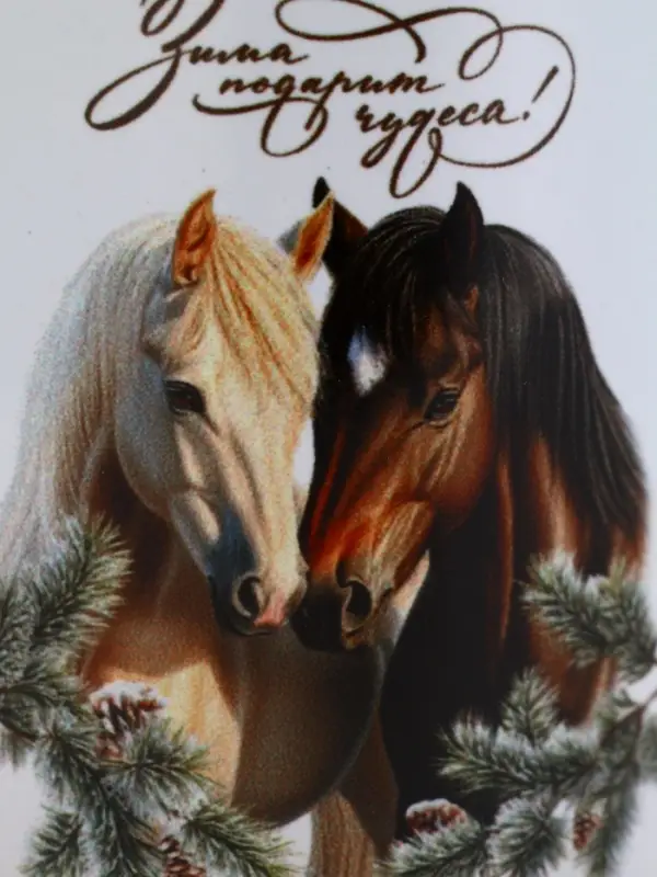 Кружка керамическая новогодняя «Зима подарит чудеса!», 320 мл Кружка керамическая новогодняя «Зима подарит чудеса!», 320 мл