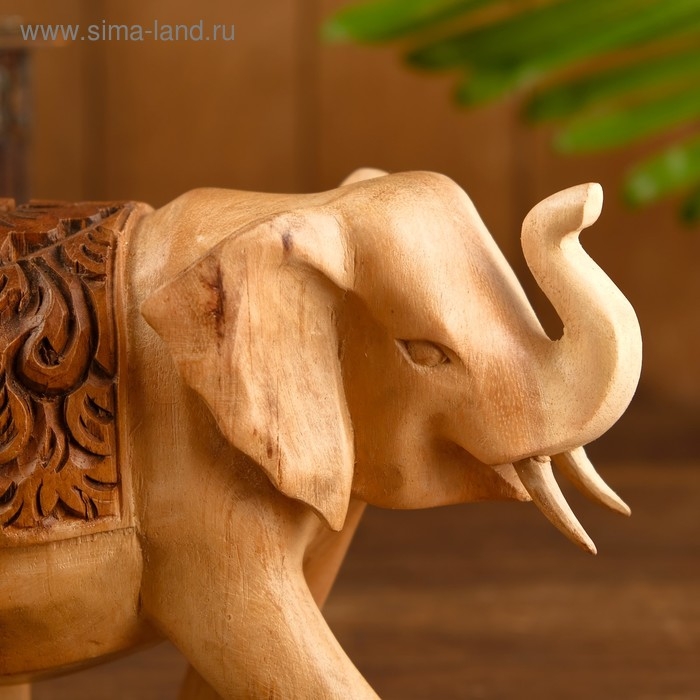Сувенир Сувенир "Слон" дерево 22х10х15 см