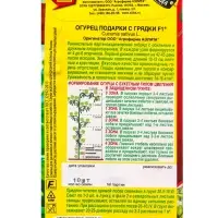 Набор семян Огурец пучковый, 10 сортов