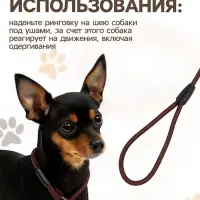 Ринговка для собак, 130&times;0.6 см, коричневая