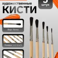 Набор кистей для рисования, белка, 5 штук: №: 1, 2, 3, 4, 5, Calligrata, круглые, деревянная ручка, в пакете