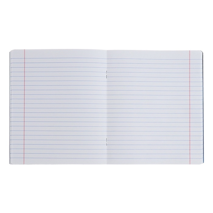 Комплект предметных тетрадей 48 листов, 12 штук, ErichKrause Комплект предметных тетрадей 48 листов, 12 штук, ErichKrause "Manga", мелованный картон, блок офсет белизна 100%, инфо-блок