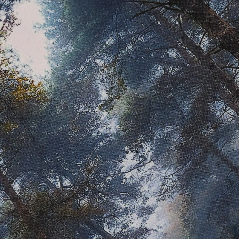 Ежедневник недатированный 7БЦ, пленка глянц., А5,128л, Выбор есть, Тайга