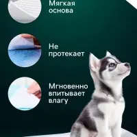 Впитывающие пелёнки для животных &laquo;ПИЖОН&raquo;, 60&times;90 см, набор 30 шт., целлюлоза