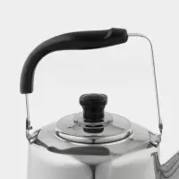 Чайник &laquo;Чайковский&raquo;, 3 л, нержавеющая сталь, хромированный