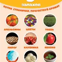 Ароматная книга с окошками &laquo;Чебурашка&raquo;, 9 окошек