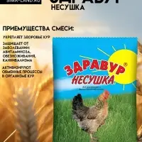 Премикс Здравур &laquo;Несушка&raquo; для кур и домашней птицы, минеральная добавка, 250 г