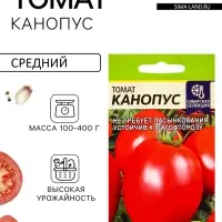 Семена Томат &laquo;Канопус&raquo;, детерминантный, среднерослый, 0.05 г, &laquo;Семена Алтая&raquo;
