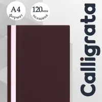 Папка-скоросшиватель Calligrata, А4, 120 мкм, коричневая, прозрачный верх