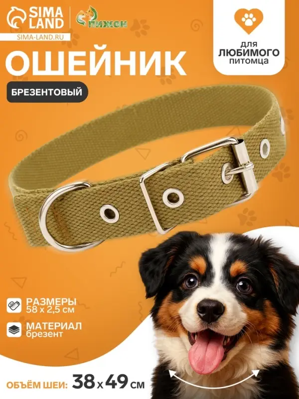 Брезентовый ошейник, 58&times;2.5 см, однослойный, цвет песочный