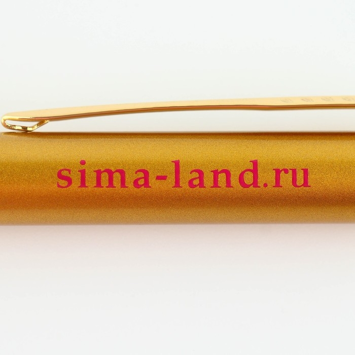 Ручка «Учителю: Лучший учитель», металл, синяя паста, 1.0 мм