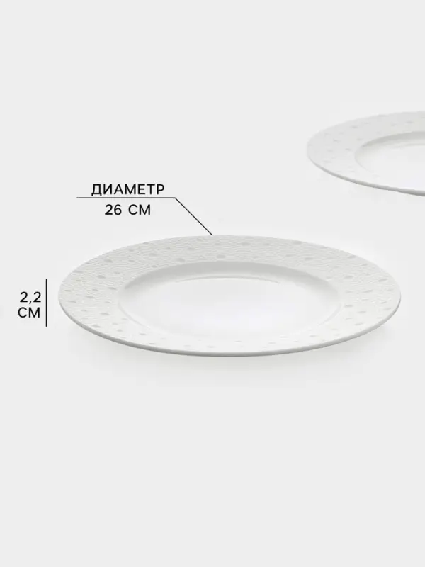 Тарелки Magistro Fray, набор 2 шт., d=26 см, фарфор, белые