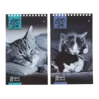 Блокнот &laquo;Альт. Кошки&raquo;, А5, 40 листов, на гребне, МИКС