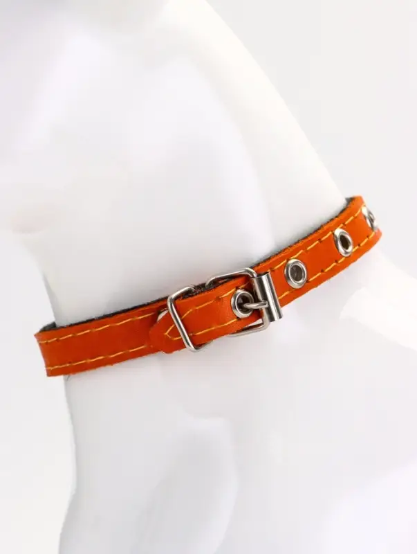 Ошейник кожаный однослойный  на  фетре неукрашенный, 1,2 см, ОШ 20-26 см,