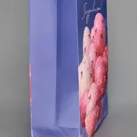 Пакет подарочный &laquo;Поздравляю&raquo;, XXL 46 &times; 61 &times; 20 см