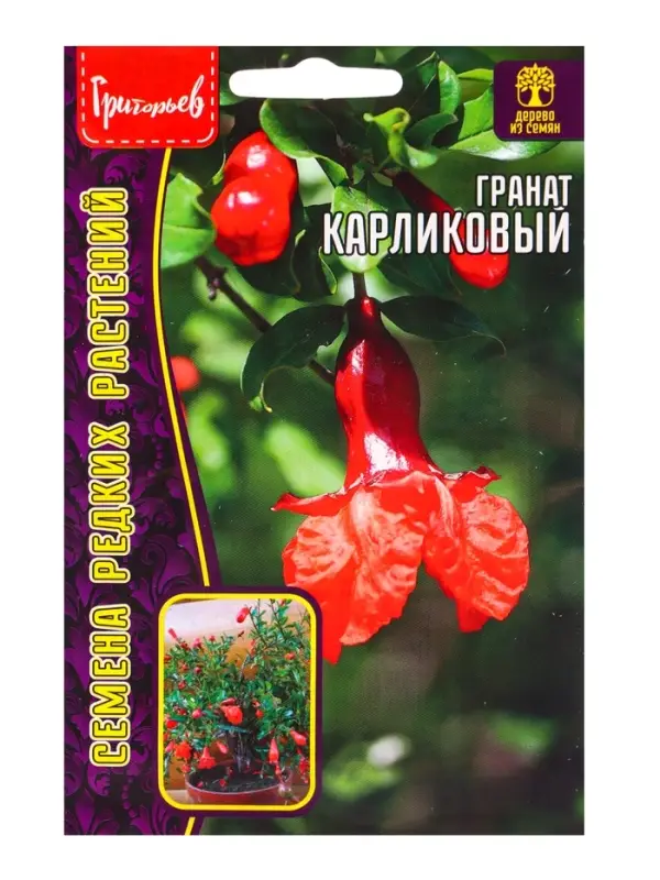 Семена цветов Гранат Карликовый 5шт.   12.29 г.