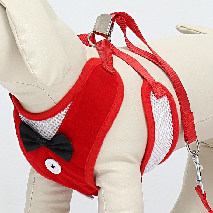 Комплект с мягкой шлейкой и бантиком, размер L, поводок 120 x 1,5 см, ОГ 35-50 см, красный Комплект с мягкой шлейкой и бантиком, размер L, поводок 120 x 1,5 см, ОГ 35-50 см, красный